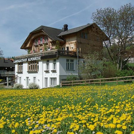 Hotel Alpenrose Beim Ballenberg Hofstetten bei Brienz Exterior photo