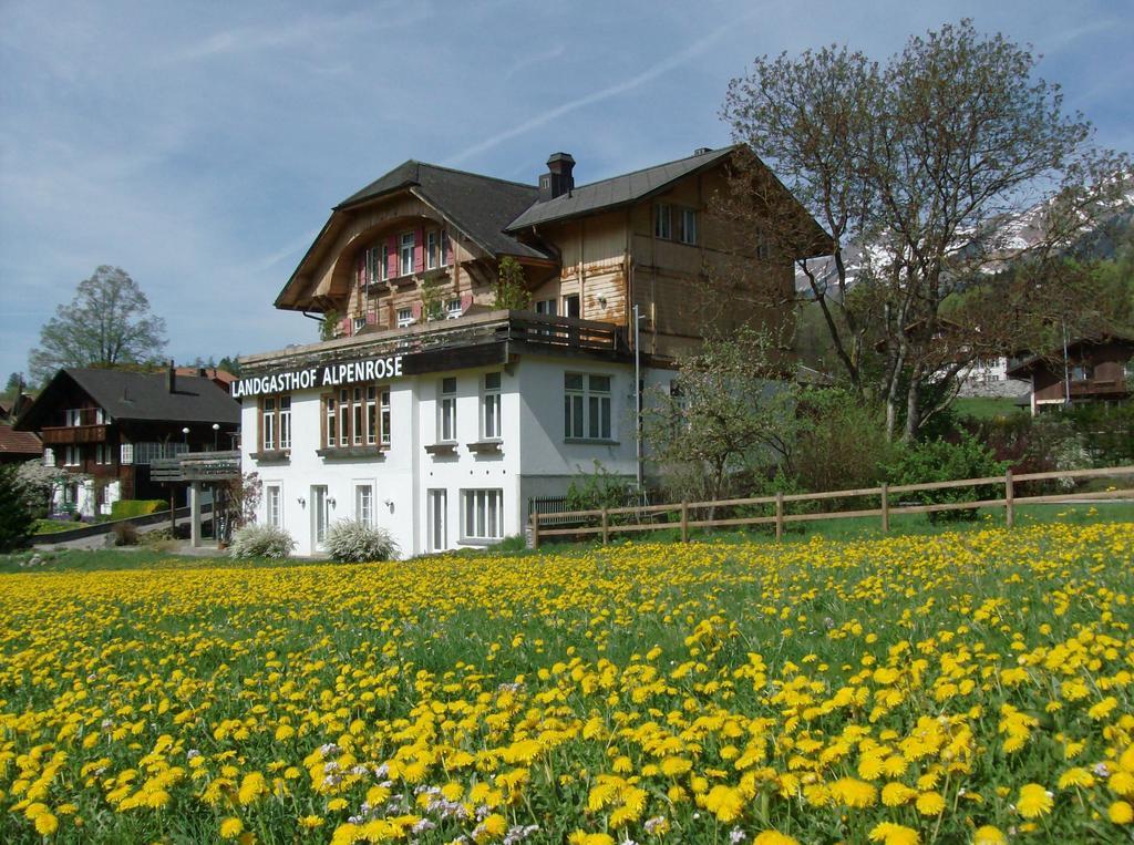 Hotel Alpenrose Beim Ballenberg Hofstetten bei Brienz Exterior photo